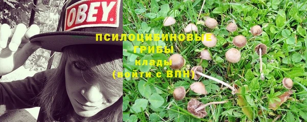 эйфоретик Ладушкин