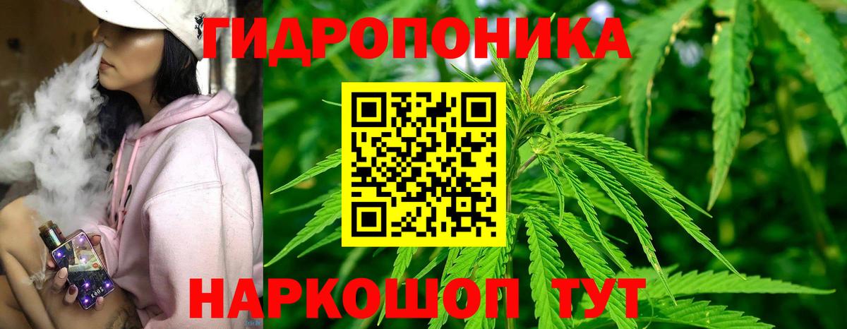 Марихуана планчик  Вход с VPN  Каннабис OG Kush  Березники 